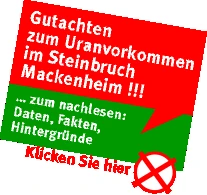 Steinbruchgutachten